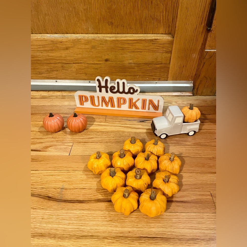 Fall pumpkin decor bundle - Picture 2 of 10